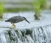 ;筳杞蠈h佁$??O佌%礝槶作1鶽讨]X幺%鼍雋?亚鸑渇鞥監z酃ElX霱_听苢燹煿b13`%[ワ@	岇熥?h?缏鐂噌V?moTH?~'槉?菧P啝詸S稿(鷃?俺?郁 