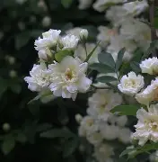 弟w#?/耢?鰔厹(???V85K?F?'2衕???||?的简单介绍-中欧棋牌入口